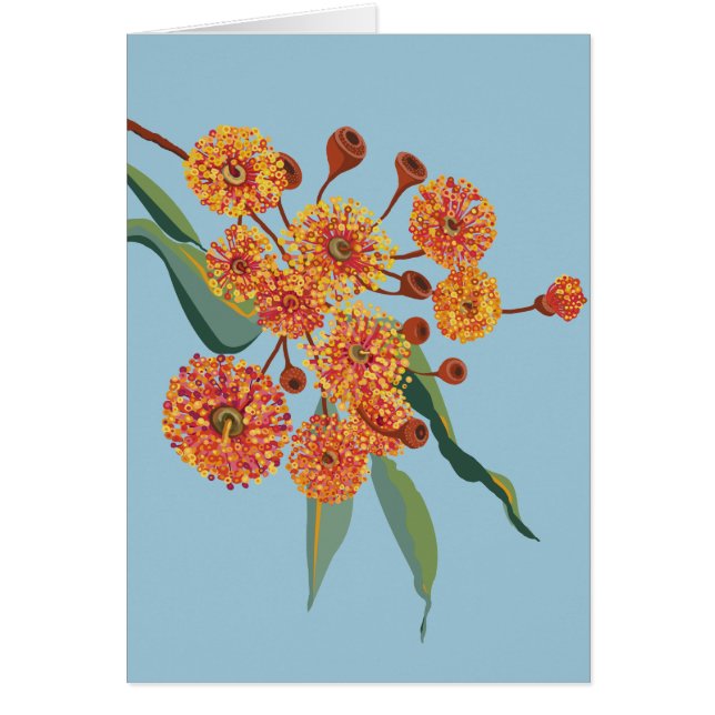 Australische kauwbloesems (Voorkant)