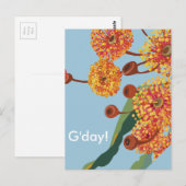 Australische kauwbloesems briefkaart (Voorkant / Achterkant)