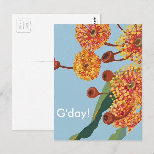 Australische kauwbloesems briefkaart (Voorkant / Achterkant)