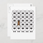 Australische Kelaart in de schapen Briefkaart (Voorkant / Achterkant)