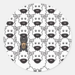 Australische Kelaart in de schapen Ronde Sticker
