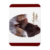 Australische Kelpe Art Magneet (Verticaal)