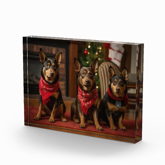 Australische Kelpie bij de open haard Kerstmis Fotoblokken (Rechts)