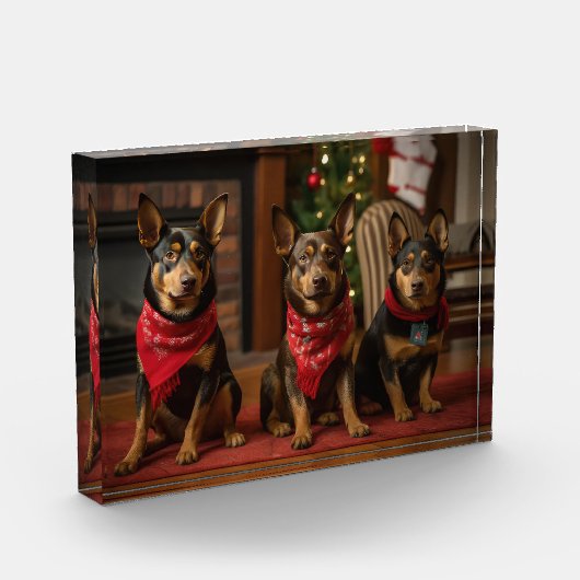 Australische Kelpie bij de open haard Kerstmis Fotoblokken (Links)
