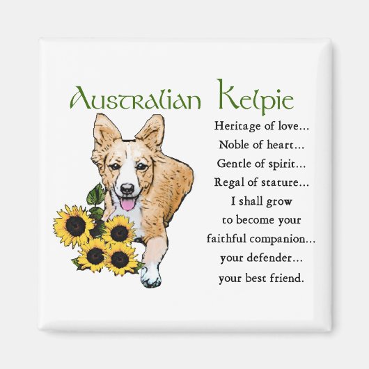 Australische Kelpie-cadeaus Magneet (Voorkant)