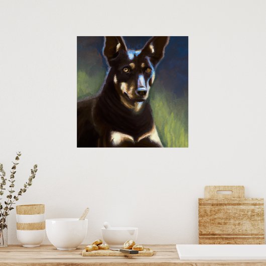 Australische Kelpie - Dog Portrait Poster (Keuken)