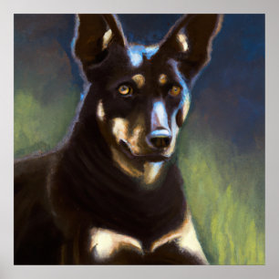 Australische Kelpie - Dog Portrait Poster