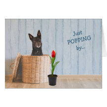 Australische Kelpie Dog Wicker Basket Birthday Car