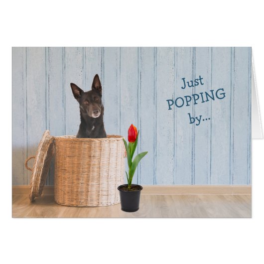 Australische Kelpie Dog Wicker Basket Birthday Car (Voorkant Horizontaal)