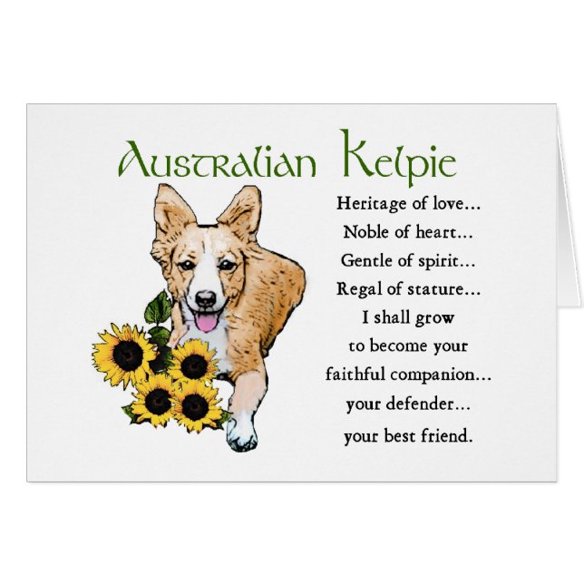 Australische Kelpie Gifts (Voorkant Horizontaal)