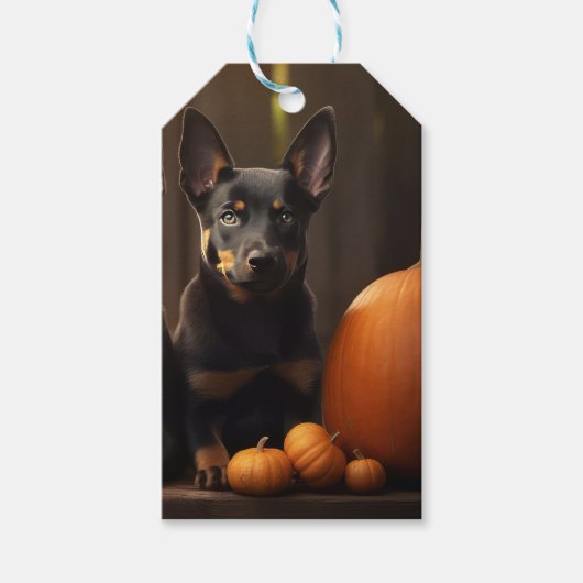 Australische Kelpie Puppy Herfst Delight Pompoen Cadeaulabel (Voorkant)