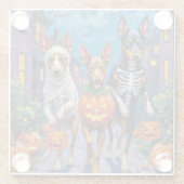 Australische Kelpie Trick-or-Treating Halloween Glazen Onderzetter (Achterkant)