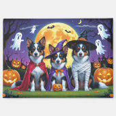 Australische Kelpies Honden Pompoen Halloween Grap Magneet (Voorkant)