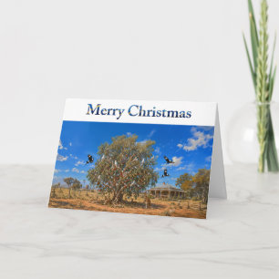 Australische Kerst Kauwgom Boom Versieringen Kango Kaart
