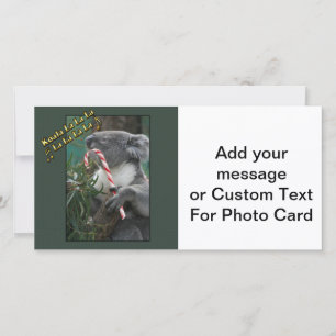 Australische Kerst Koala met Kaneelstok Feestdagenkaart