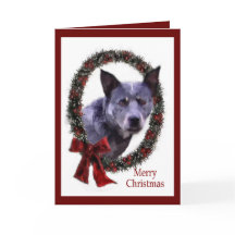 Australische kerstcadeautjes voor katten