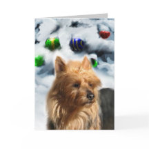 Australische kerstcadeautjes voor terrier