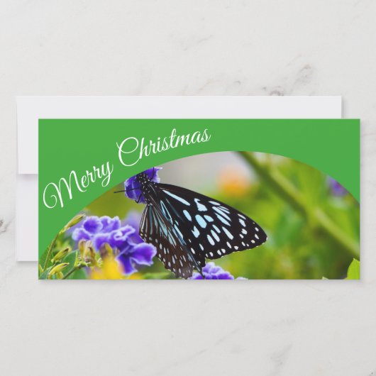 Australische kerstkaart voor Merry (Voorkant)