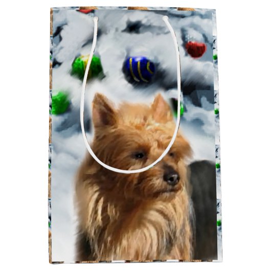 Australische kerstman medium cadeauzakje (Voorkant)