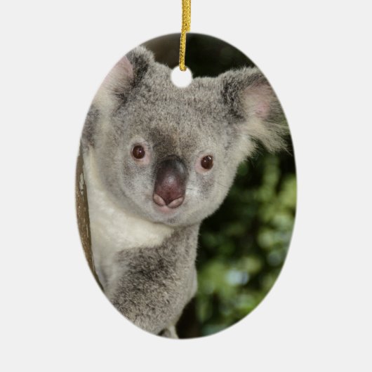 Australische koala beer schattig dier keramisch ornament (Voorkant)