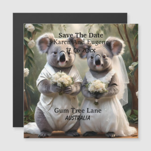 Australische Koala Beer Witte Bruiloft