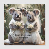 Australische Koala Beer Witte Bruiloft (Voorkant)