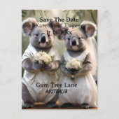 Australische Koala Beer Witte Bruiloft, Briefkaart (Voorkant)