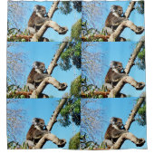 Australische koala in oude pijnboom, douchegordijn (Voorkant)