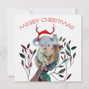 Australische Koala Kerstman Hoed Prettig Kerstfees Feestdagenkaart