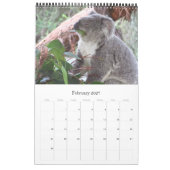 Australische koala's 2025 kalender (Feb 2027)