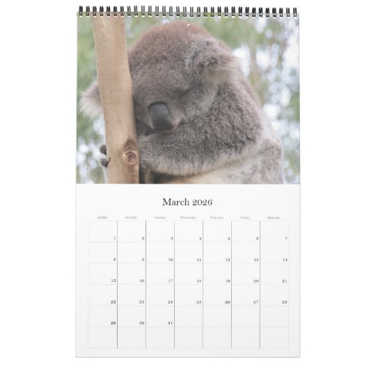 Australische koala's 2025 kalender (Mar 2026)