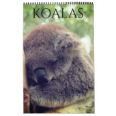 Australische koala's 2025 kalender (Hoes)