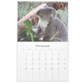 Australische koala's 2025 kalender (Feb 2026)
