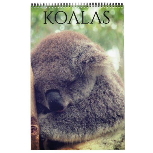 Australische koala's 2026 kalender (Hoes)