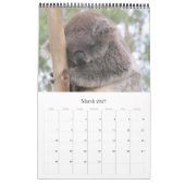 Australische koala's 2026 kalender (Mar 2027)