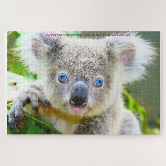 Australische Koala's Legpuzzel (Horizontaal)