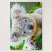 Australische Koala's Legpuzzel (Verticaal)
