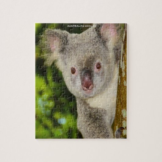 Australische Koala's Legpuzzel (Verticaal)