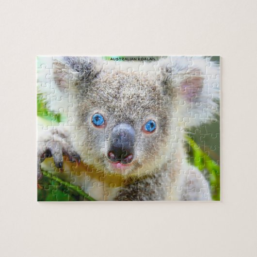 Australische Koala's Legpuzzel (Horizontaal)