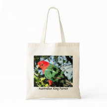 Australische koning Parrot