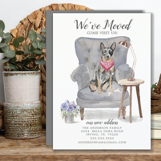 Australische koninklijke veefokkerij aankondiging