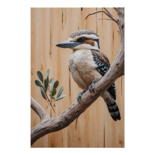 Australische Kookaburra in een boom Wildlife Art Perfect Poster