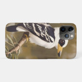 Australische Kookaburra schilderij, Case-Mate iPhone Case (Achterkant (horizontaal))