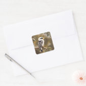 Australische Kookaburra schilderij, Vierkante Sticker (Envelop)