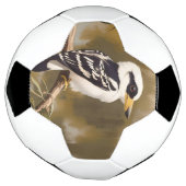 Australische Kookaburra schilderij, Voetbal (Gedraaid)