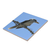 Australische Kookaburra Tegeltje (Zijkant)