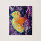 Australische koraalriffen legpuzzel (Verticaal)