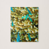 Australische koraalriffen legpuzzel (Verticaal)