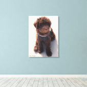AUSTRALISCHE LABRADOODLE PUPPY CANVAS AFDRUK (Insitu (Houten vloer))