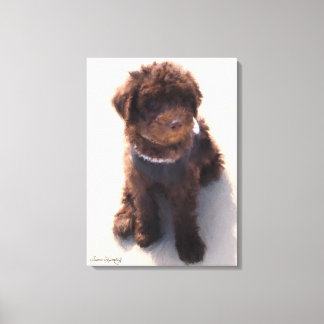 AUSTRALISCHE LABRADOODLE PUPPY CANVAS AFDRUK